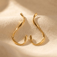 Elegant Gold Curved S Shape Hook Earrings