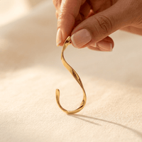 Elegant Gold Curved S Shape Hook Earrings